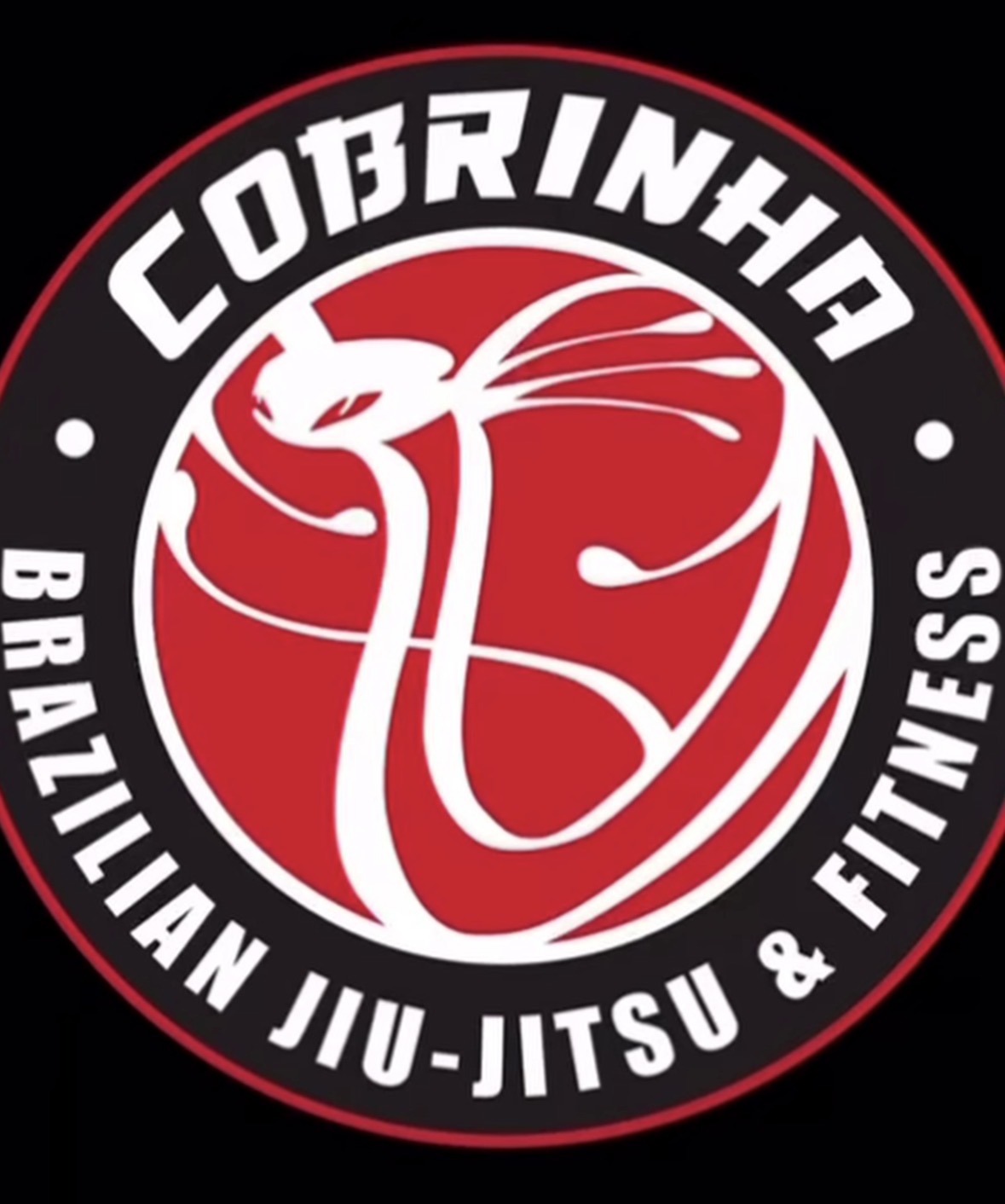 Logo Cobrinha BJJ Madrid